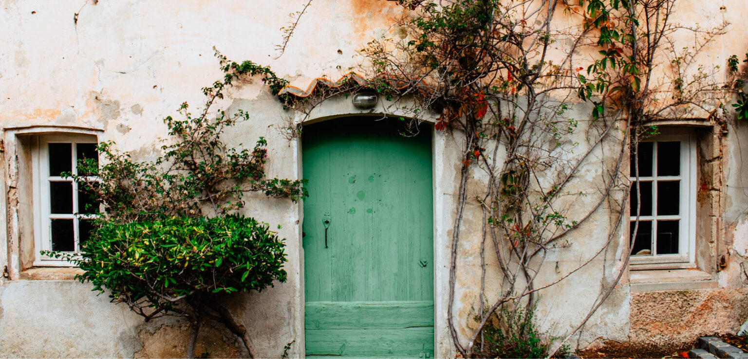 Does Renters Insurance Cover Mold? Insurism