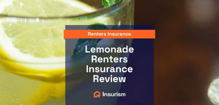 Lemonade Renters Insurance Review
